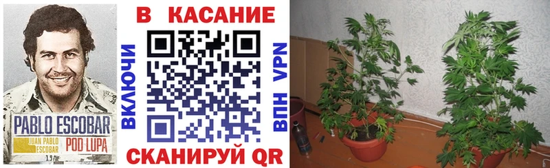 Цена Зуевка COCAIN  ТГК  БУТИРАТ  ГАШ  МЕФ 