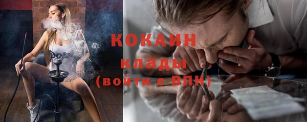 стафф Алексин